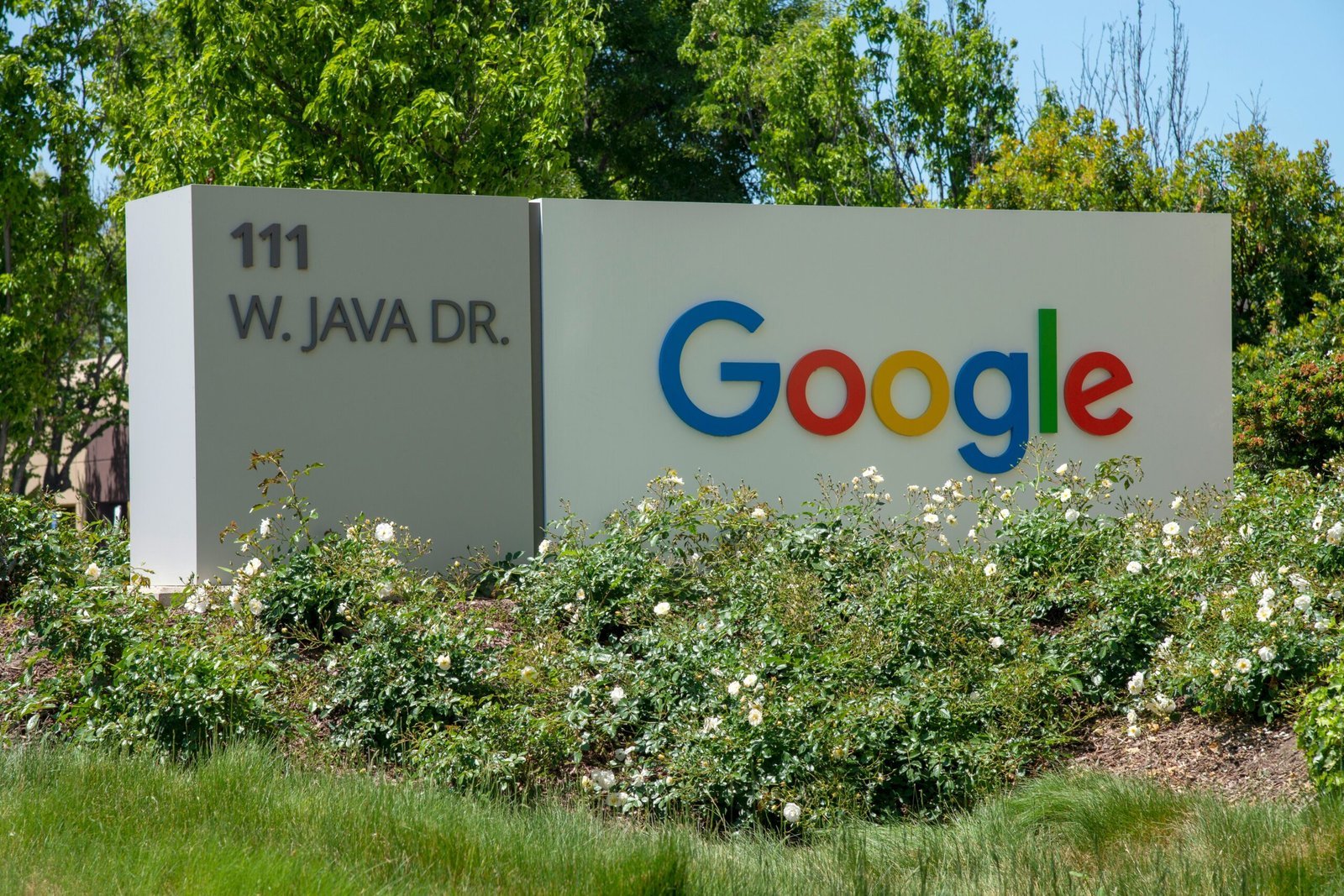 Como Colocar o Blog no Mecanismo de Busca: Um Guia Completo 1 a google sign in front of some bushes and trees